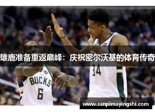 雄鹿准备重返巅峰：庆祝密尔沃基的体育传奇