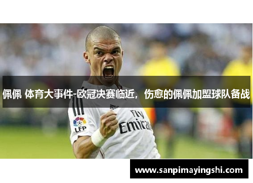 佩佩 体育大事件-欧冠决赛临近，伤愈的佩佩加盟球队备战