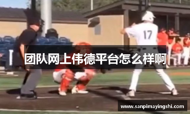 团队网上伟德平台怎么样啊